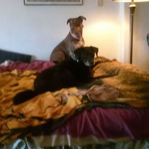 Meet your Posher, Deborah